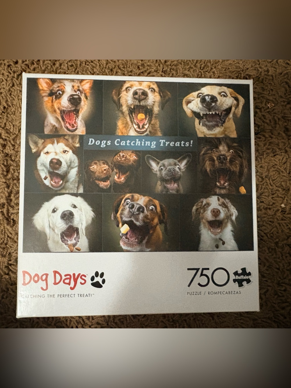 Dogs Catching Treats 750-Piece Puzzle